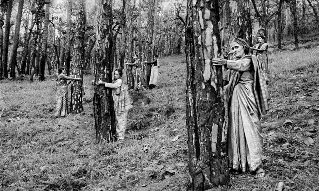 Pamela Singh, Chipko Tree Huggers of the Himalayas #4, 1994. © Pamela Singh Courtesy sepiaEYE Credit: © Pamela Singh Courtesy sepiaEYE 